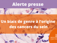Alerte Presse de l'Institut Paoli-Calmettes : Un biais de genre à l'origine des cancers du sein