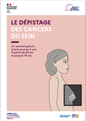 Vignette DEPSEINSIMP22
